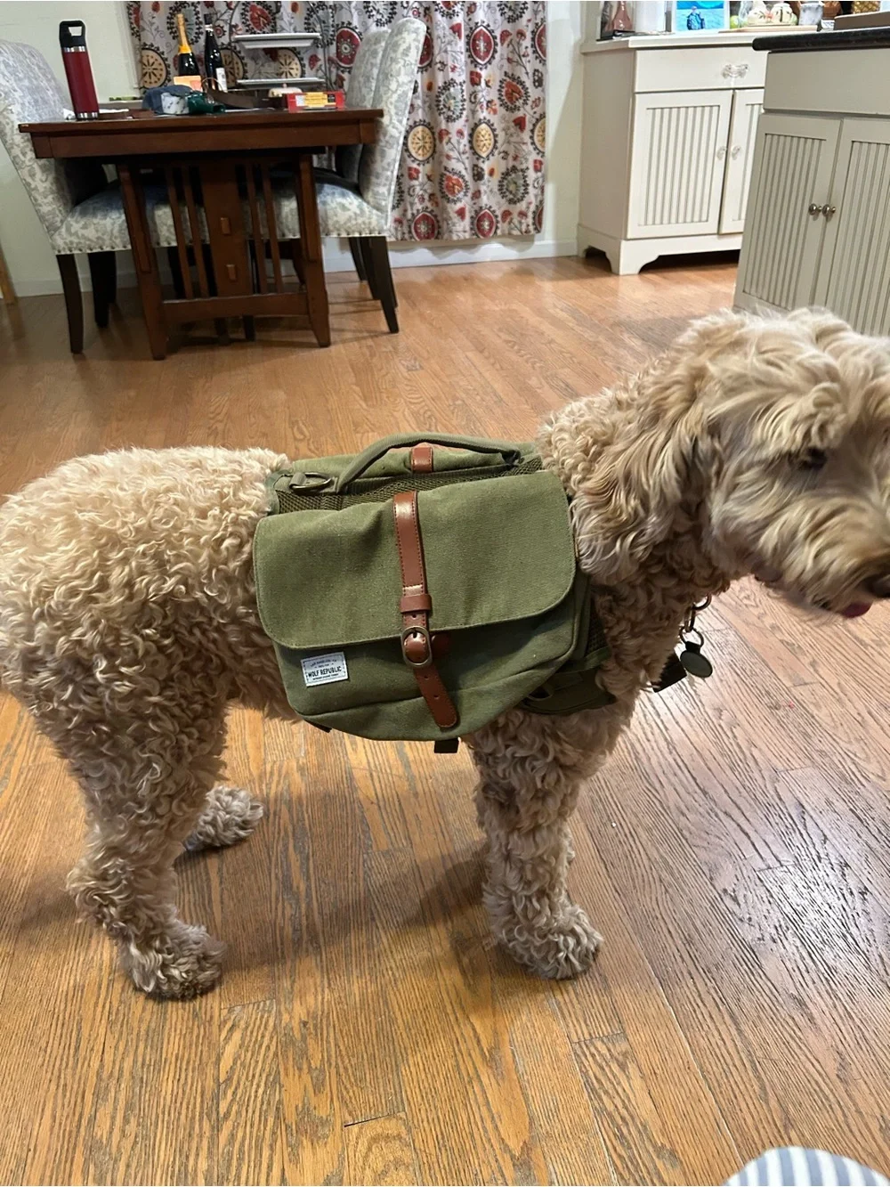 Wolf Republic 2025 Fox Dog Saddleback Harness green Canvas & Leather Straps.